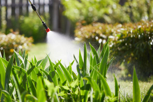 24/7 Emergency Wasp Removal experts in Edgewood, FL