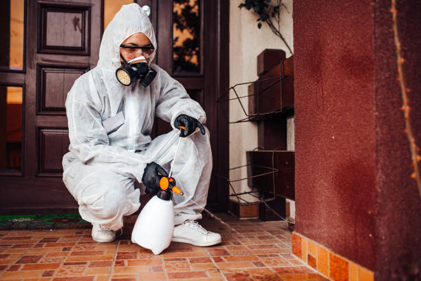 Reliable Wasp Removal contractor in Edgewood, FL by Show Me Pest Control